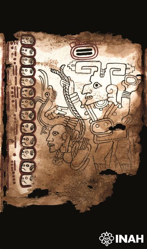 El Milenario Códice Maya De México Protagoniza Exposición En Los Ángeles