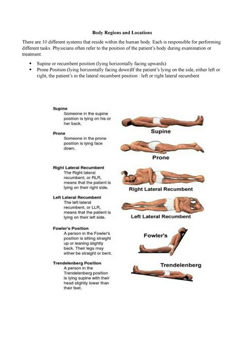 Body Regions And Locations Body Regions And Locations There Are 10 Different Systems That