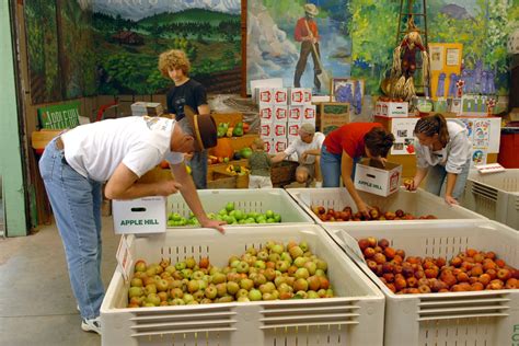 Apple Hill Growers Kickoff Apple Season Apple Hill Growers Association