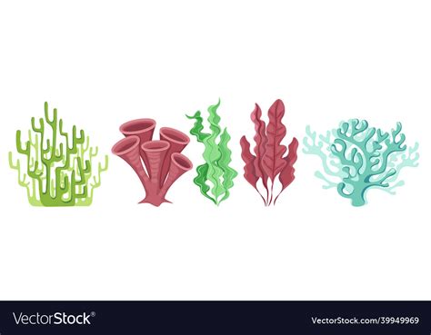 Cartoon ocean plants coral reef or underwater Vector Image