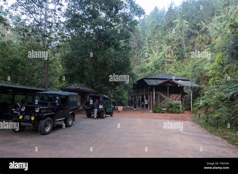 Entrance to Sinharaja Rain Forest Reserve. Sri Lanka Stock Photo - Alamy