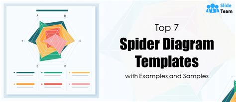 Top 7 Spider Diagram Templates with Examples and Samples