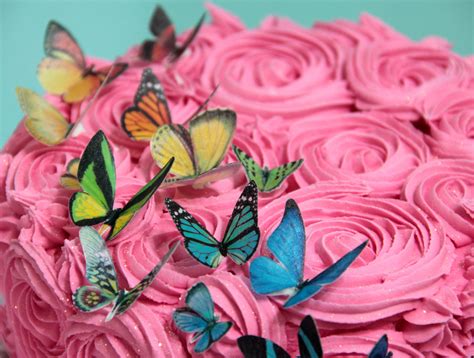 Edible Wafer Paper Butterflies Felt