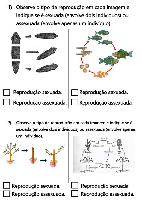 Atividade Adaptada Ano Tipo De Reprodu O