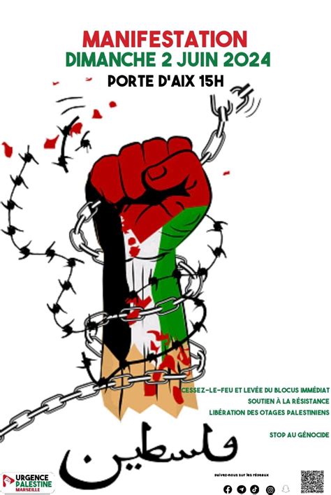 Manifestation Halte Au Massacre Gaza La France Doit Demander Un