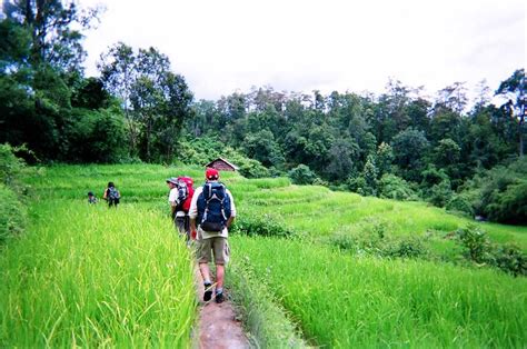 7 Amazing Spots To Hike in Chiang Mai - Holidify