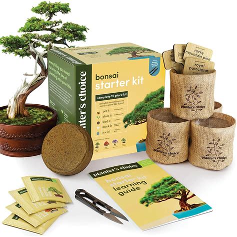 Bonsai Starter Kit - Gardening Gifts for Women & Men - Unique DIY ...