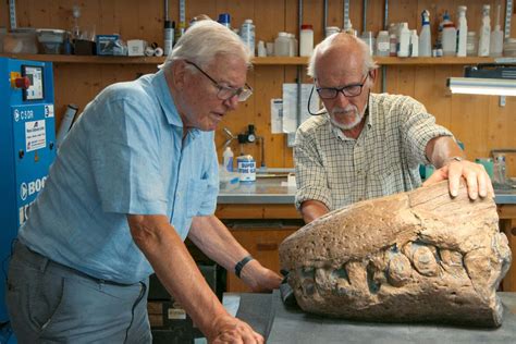 Giant pliosaur skull sheds light on ancient marine reptiles - Gudstory | Gudstory Org News