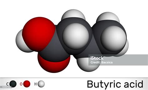 Butyric Acid Butanoic Acid Molecule Butyrates Or Butanoates Are Salts And Esters Molecular Model