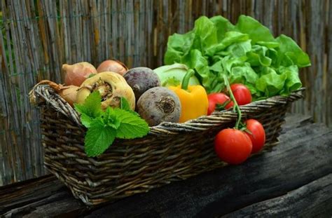 Bisakah Asupan Serat Dari Buah Dan Sayur Diganti Dengan Suplemen