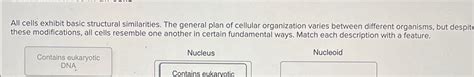 Solved All Cells Exhibit Basic Structural Similarities The Chegg