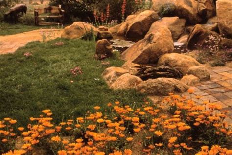 Arizona Landscape Ideas - Arterra Inc.