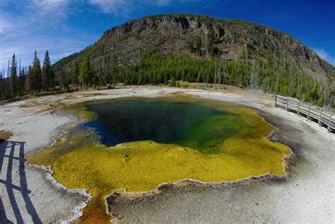 Oregon Man S Gruesome Hot Spring Death Highlights Problems At Yellowstone