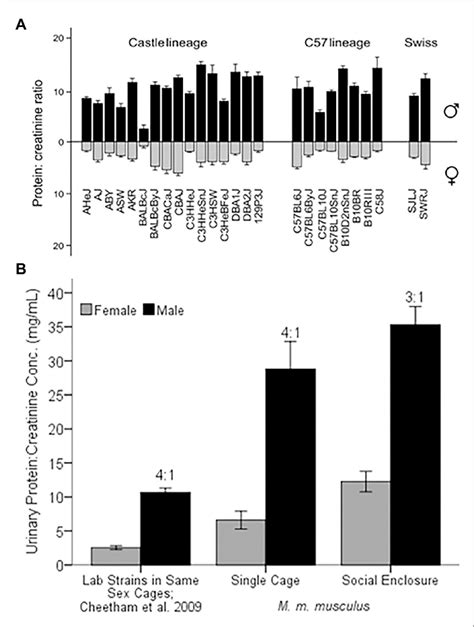 Sex Differences In Urinary Protein Excretion A Comparison Of 26