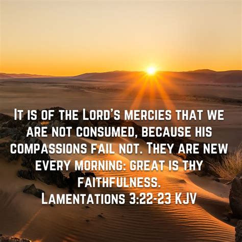 Lamentations 3 22 23 It Is Of The Lord S Mercies That We Are Not