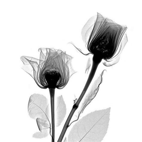 Ламик - YouTube