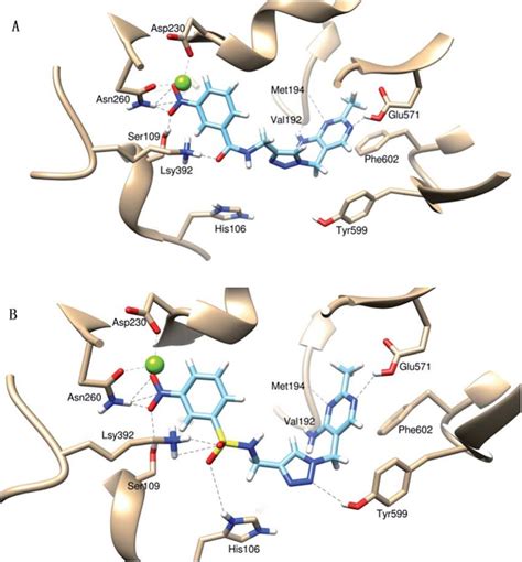 Binding Modes Of Compound D A And D B Target Into Active Site Of