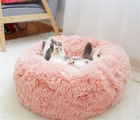 Lit Pour Animaux De Compagnie Bed Soft Pour Chats Et Chiens Etsy