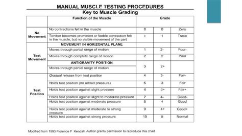 Manual Muscle Test Mmt