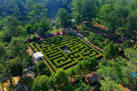 Kecamatan Pujon Malang Punya Wisata Labirin Bak Di Istana Inggris Ini