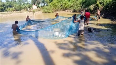 Amazing Net Catching Small🐟🦈 Fishजाल से छोटा मछली पोकड़ाs Fishing