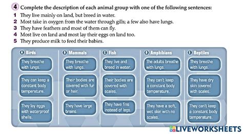 Animal groups online activity for 7 | Live Worksheets