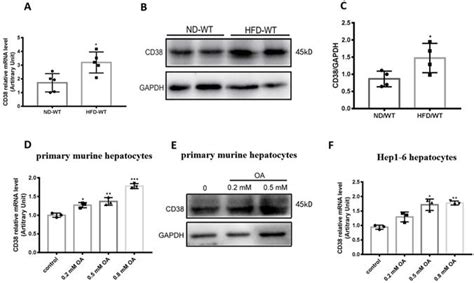 Cd38 Deficiency Protects Mice From High Fat Diet Induced Nonalcoholic