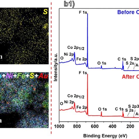 Characterizations Of Au Nicofe 7 S 8 Npls After Oer Measurements