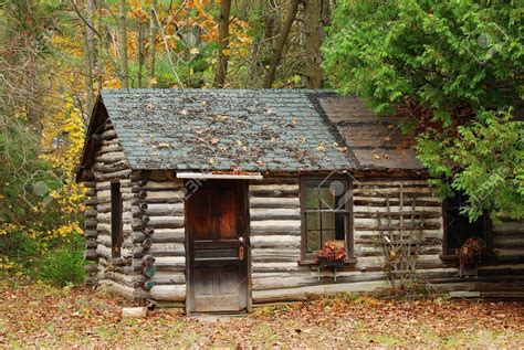 Cedar Cabin In The Woods Old Cabins Old Cabin Cabin