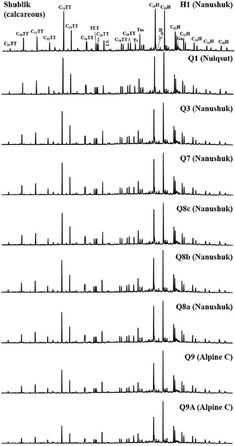 Mass Chromatograms Of Terpane Biomarkers M Z 191 For All Oils Sampled