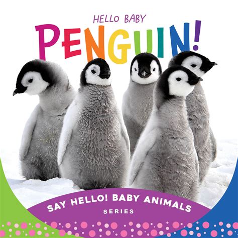 Hello Baby Penguin! (Say Hello! Baby Animals) by Beverly Rose | Goodreads