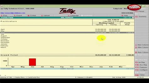 Learn Tally In English Cash And Funds Flow Tally Erp Full