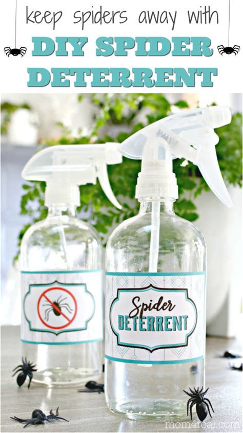 Diy Spider Spray Vinegar Vinegar As Spider Repellent How To Use