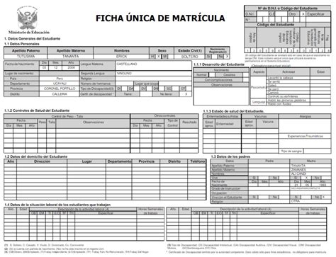 Matrícula individual Cómo obtener la Constancia de matricula SIAGIE