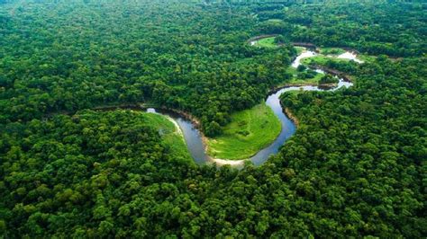 10 Sungai Terpanjang Di Dunia Lebih Panjang Nil Atau Amazon