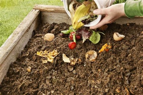 Compostar El Arte De Reciclar En La Huerta Regi Nnet