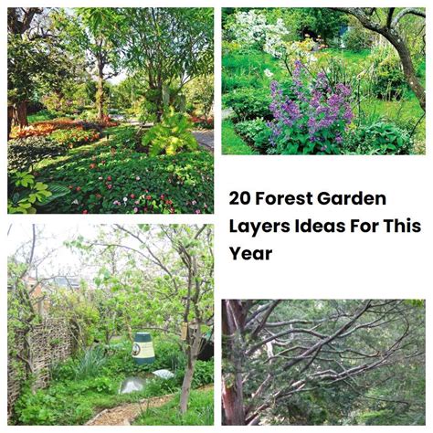 20 Forest Garden Layers Ideas For This Year | SharonSable