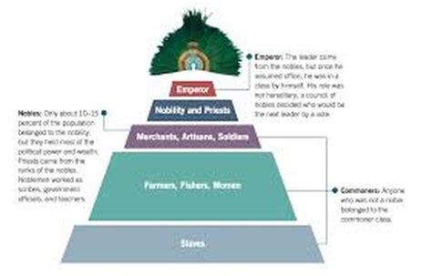 Social Structure