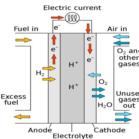 Basic Principle Of Hydrogen Fuel Cells Download Scientific Diagram