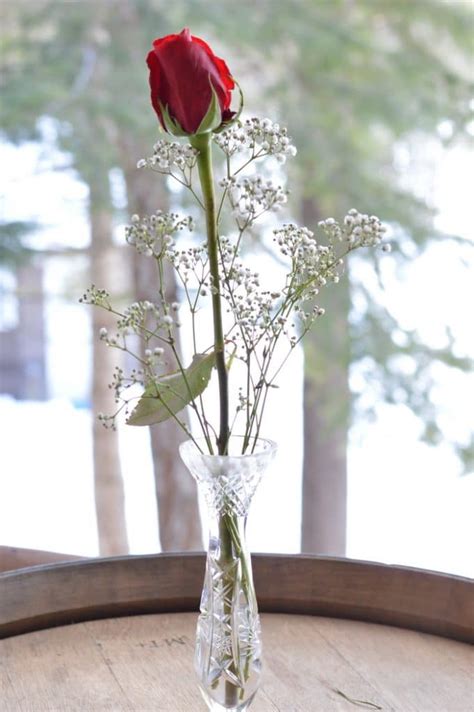 Single Flower Vase Silhouette Img Fisticuffs