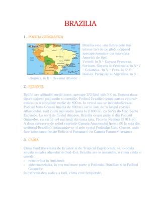 Brazilia PDF