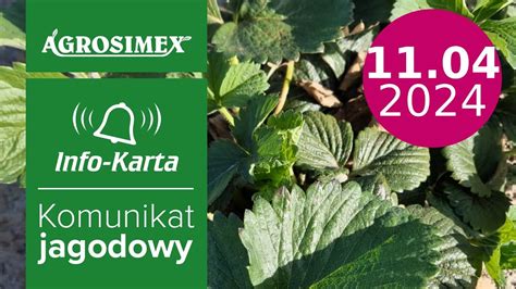 Biostymulacja I Ochrona Truskawek Komunikat Jagodowy Agrosimex