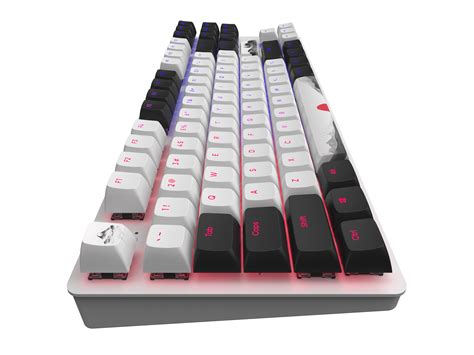 Dark Project One - 87 Fuji - RGB ANSI (ENG)
