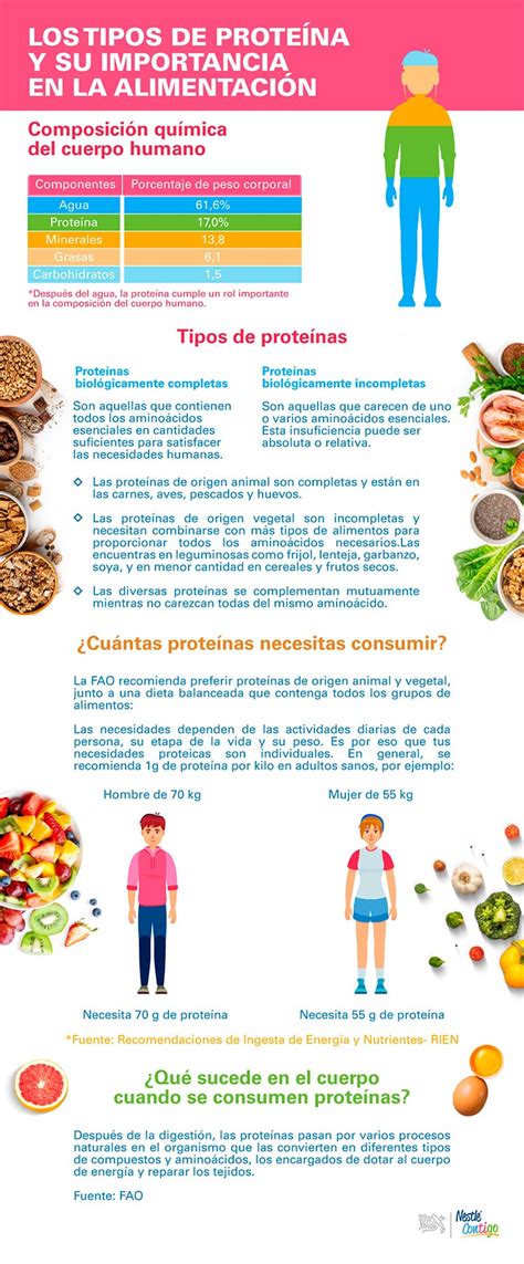 Cu Les Son Los Tipos De Prote Na En La Alimentacion Nestl Contigo