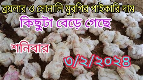 3 February আজকের মুরগির পাইকারি বাজার দর ব্রয়লার ও সোনালি মুরগির