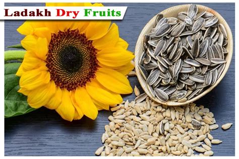 Sunflower seeds – Ladakh Dry Fruits