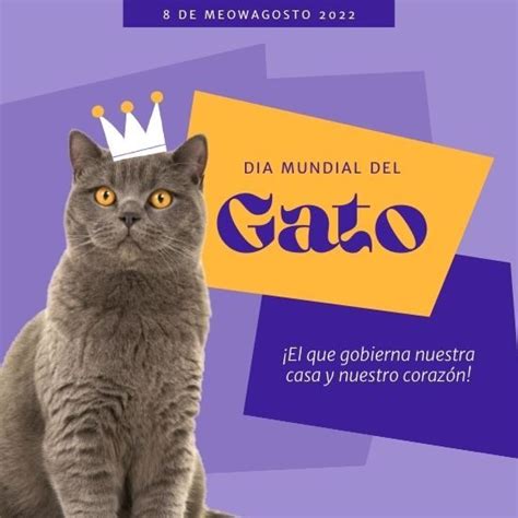 Feliz Día Del Gato 2022 Imágenes Con Frases Cortas Y Bonitas Para Compartir 🐱 Unión Guanajuato