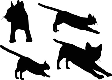 Cats Collection Vector Silhouette Female Shape Collection Vector Female Shape Collection Png