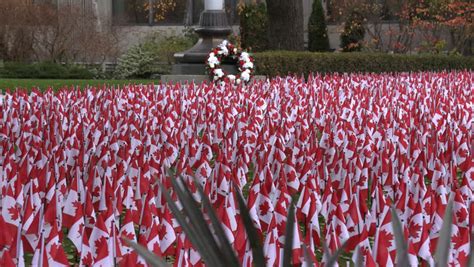 Thousands Canadian Flags Remembrance War Memorial Editorial Video