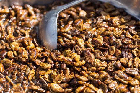 Where to Try Beondegi, or Silkworm Pupae, in South Korea